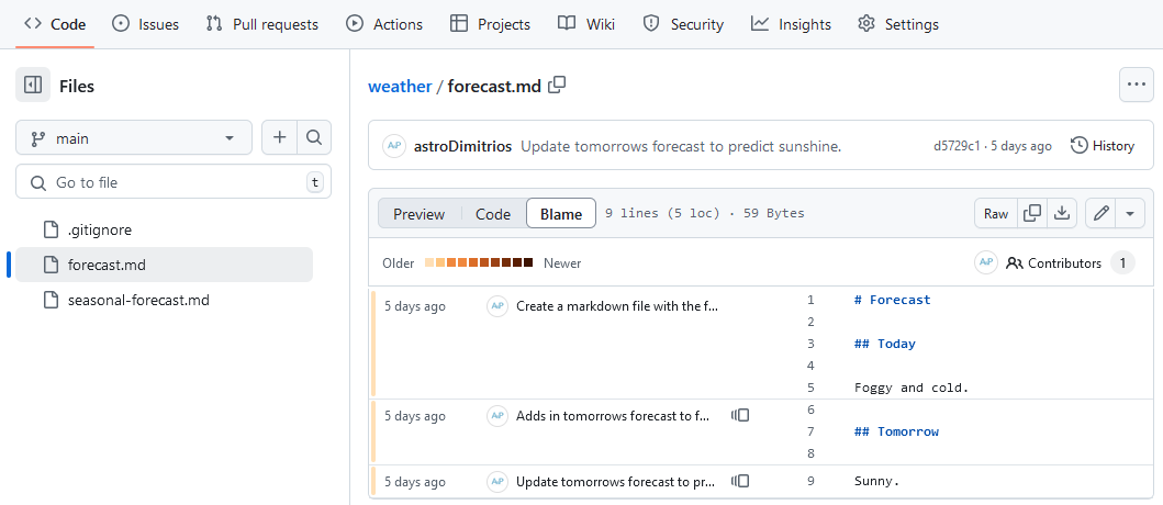A screenshot of a users weather repository showing blame on the forecast.md file in the Code viewer.
