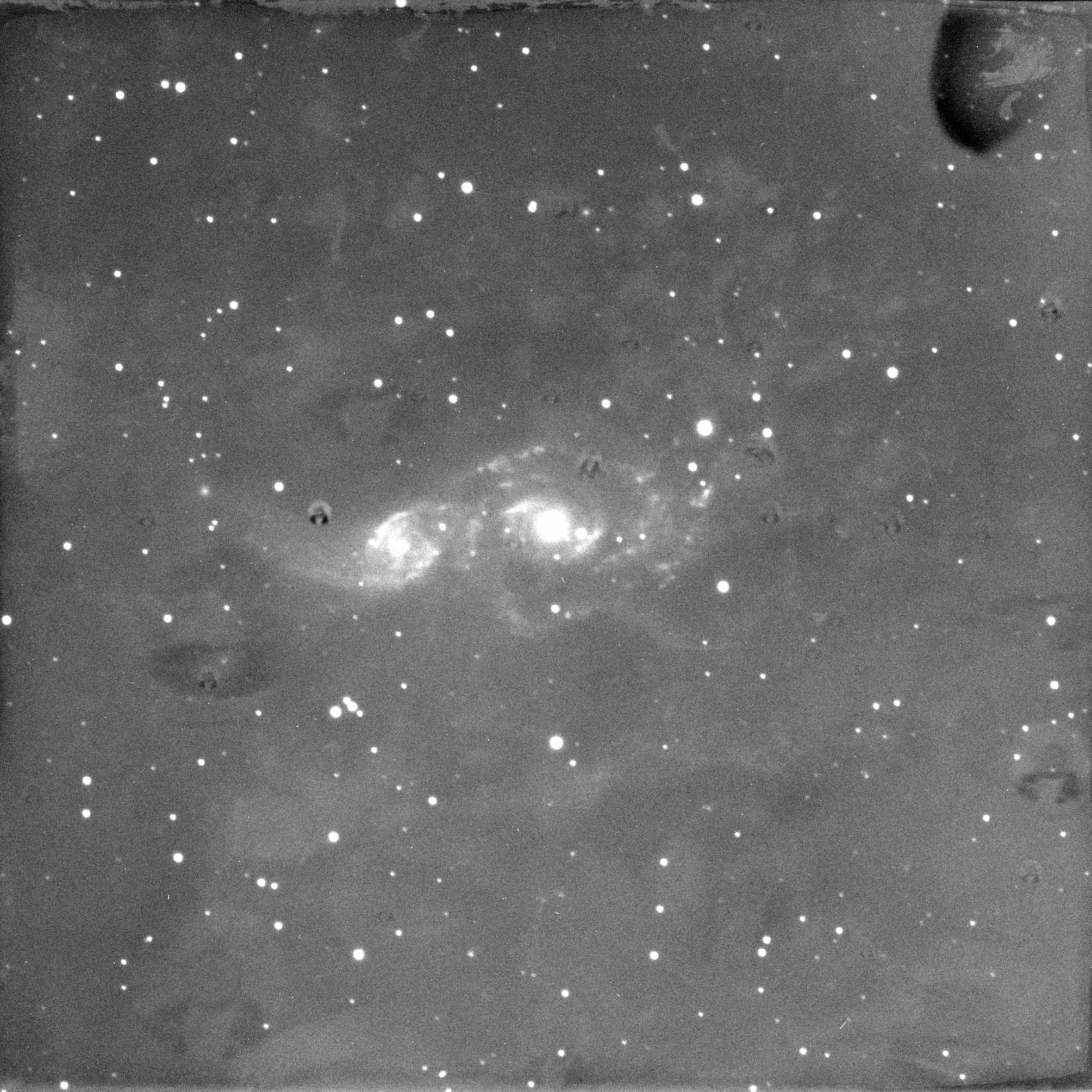 NGC2207